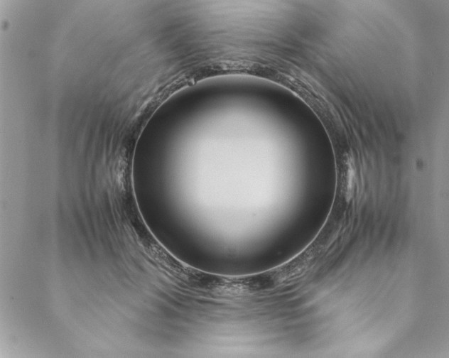 X0000088720604200706141615