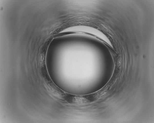 X0000088720605200706141615