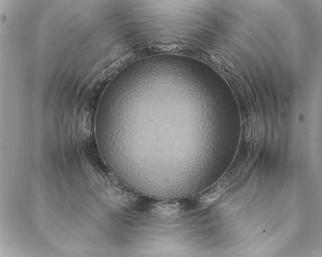 X0000088720606200706141615