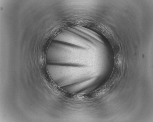 X0000088720607200706141615