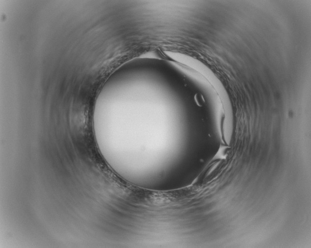 X0000088720608200706141615