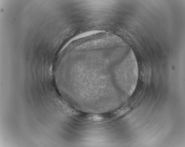 X0000088720610200706141615