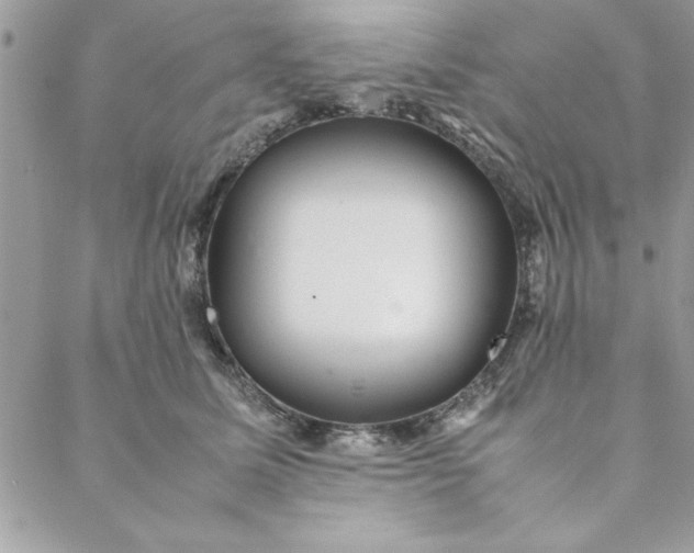 X0000088720611200706141615