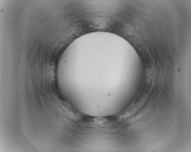 X0000088720612200706141615