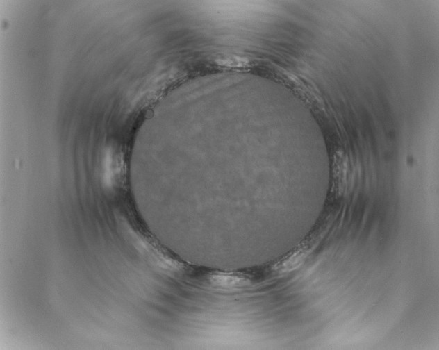 X0000088720614200706141615