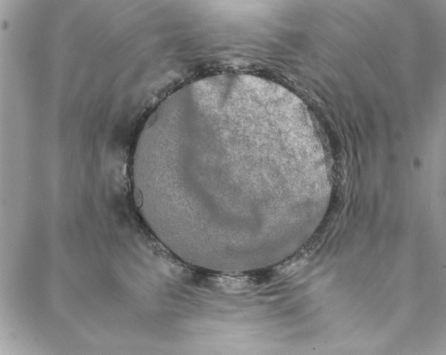 X0000088720615200706141615