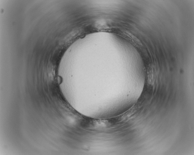 X0000088720618200706141615