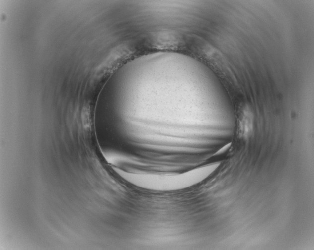 X0000088720620200706141615