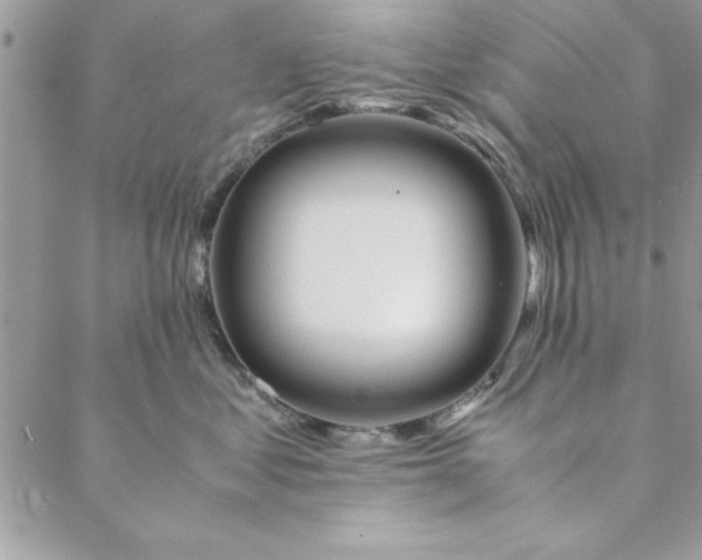 X0000088720621200706141615