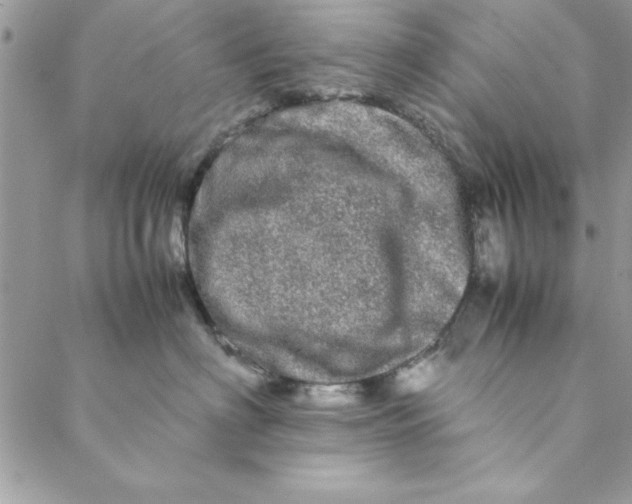 X0000088720622200706141615