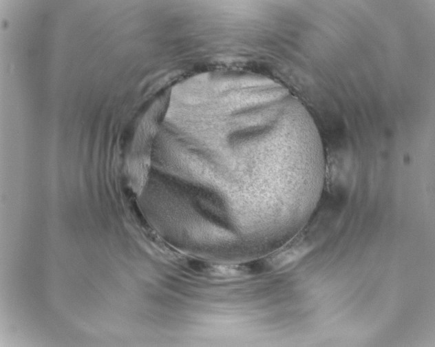 X0000088720623200706141614