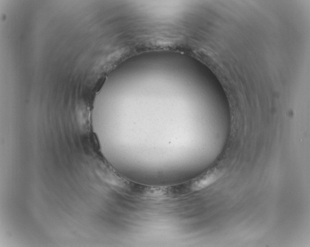 X0000088720624200706141614