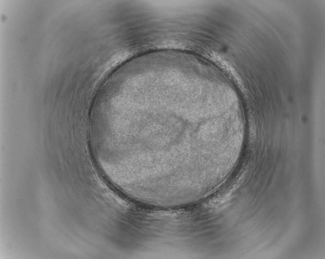 X0000088720625200706141614