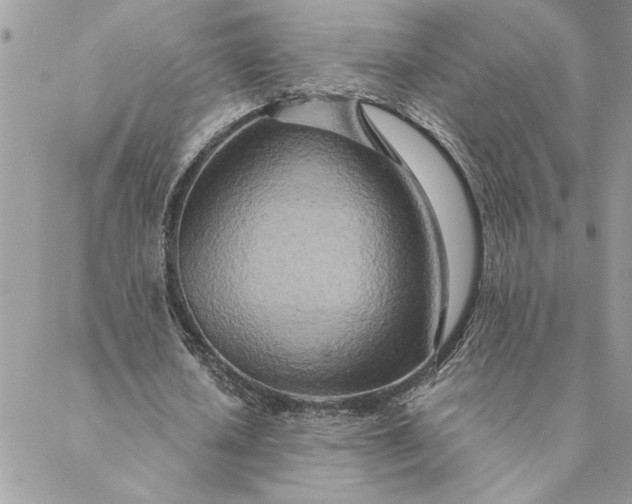 X0000088720626200706141614