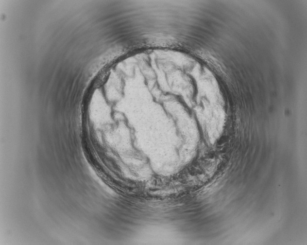 X0000088720630200706141614