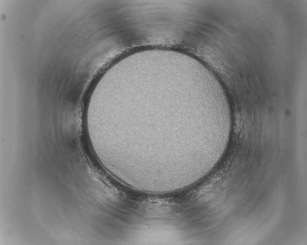 X0000088720632200706141614