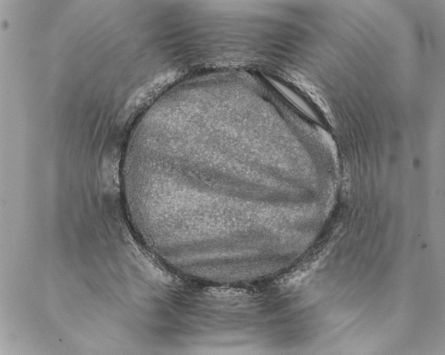 X0000088720633200706141614