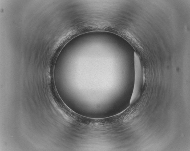 X0000088720634200706141614