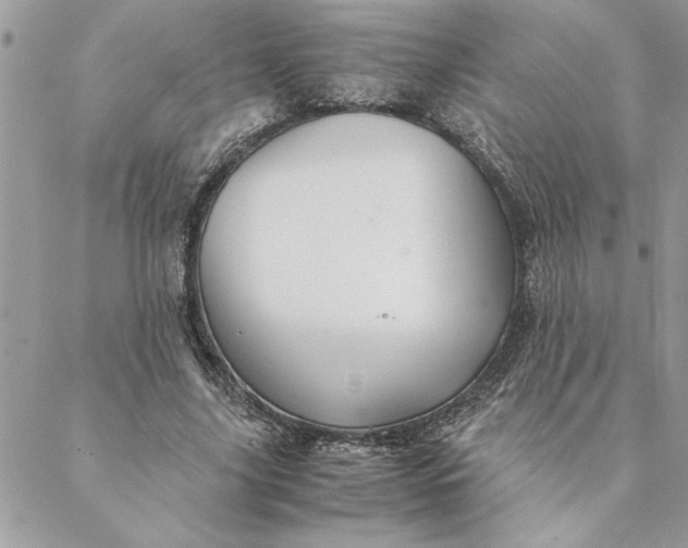 X0000088720635200706141614