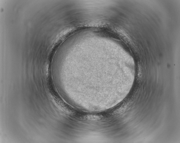 X0000088720636200706141614