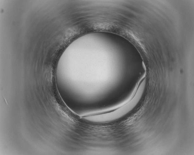 X0000088720637200706141614