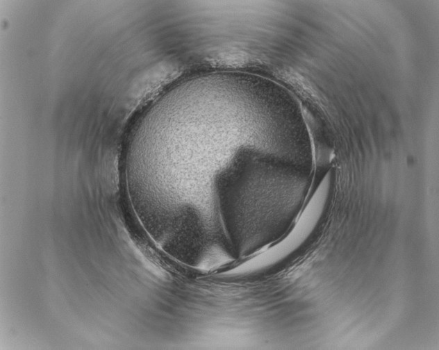 X0000088720638200706141614