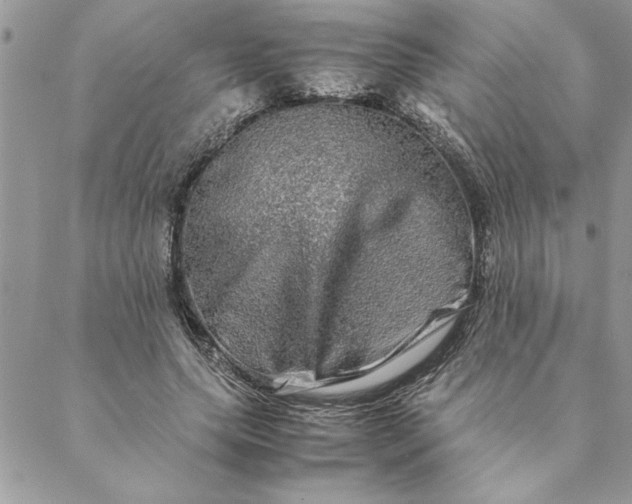 X0000088720639200706141614