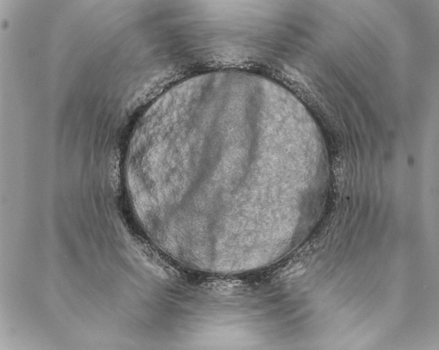 X0000088720642200706141614