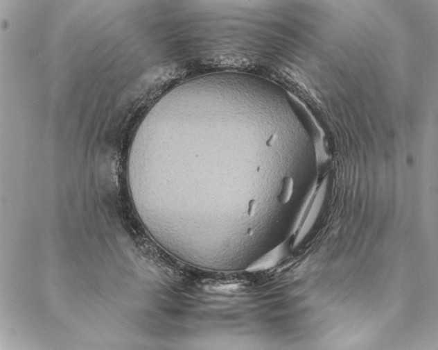 X0000088720643200706141614