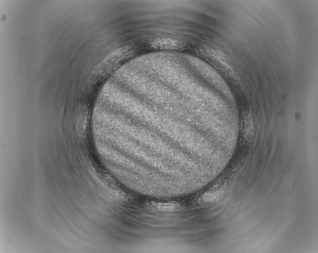 X0000088720645200706141614