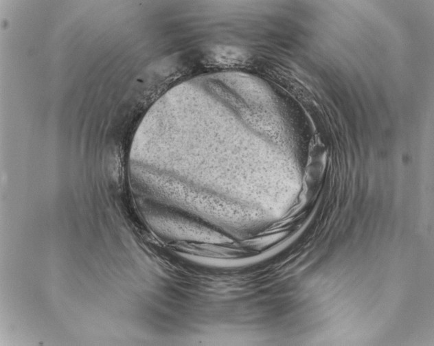 X0000088720651200706141614