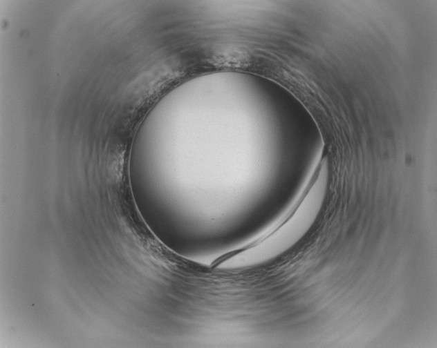 X0000088720652200706141614