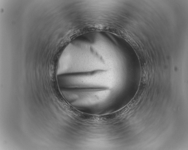 X0000088720656200706141614