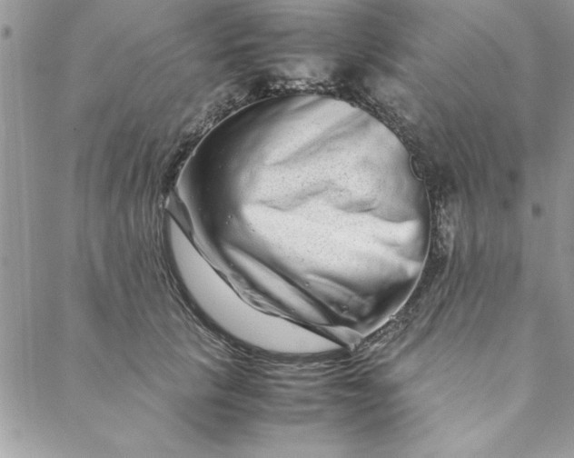 X0000088720657200706141614