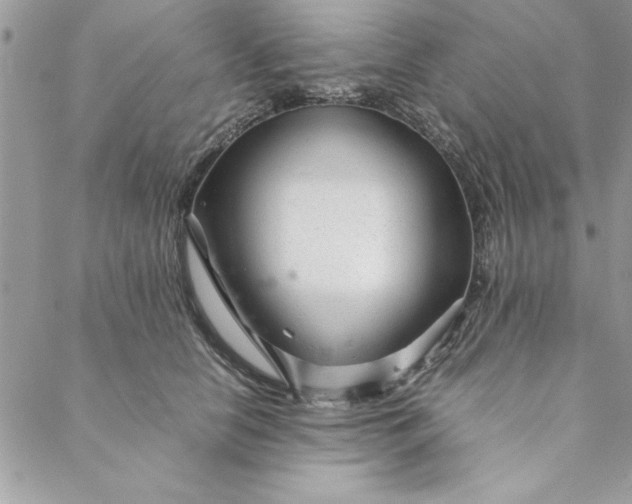 X0000088720658200706141614