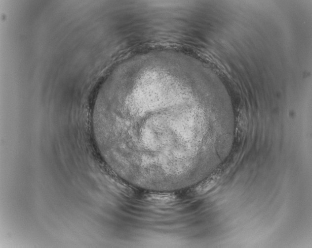 X0000088720659200706141614