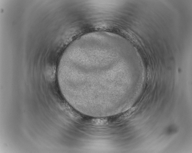 X0000088720660200706141614