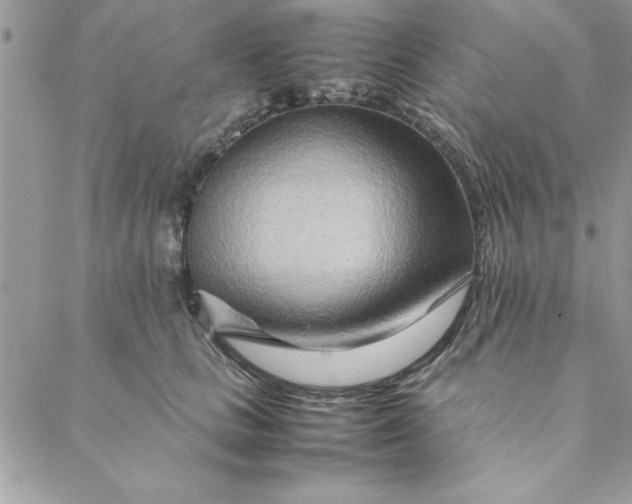 X0000088720661200706141614