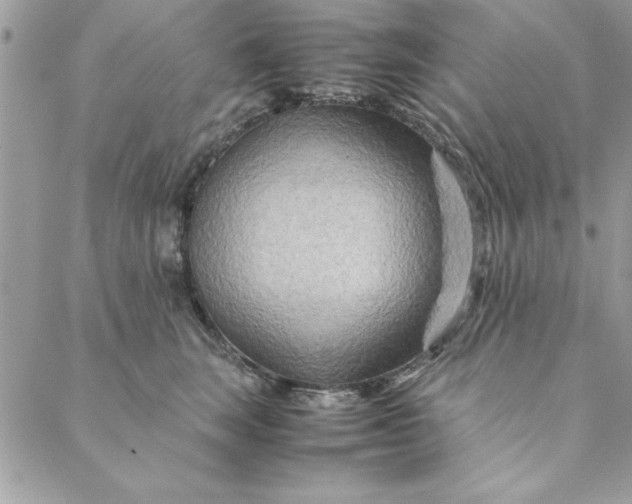 X0000088720663200706141614