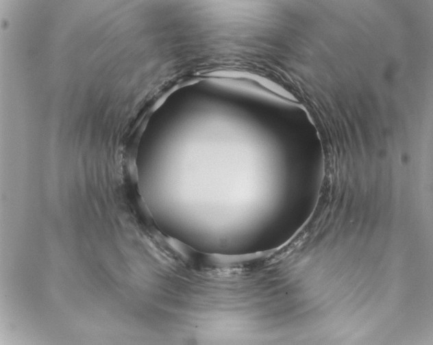 X0000088720664200706141614