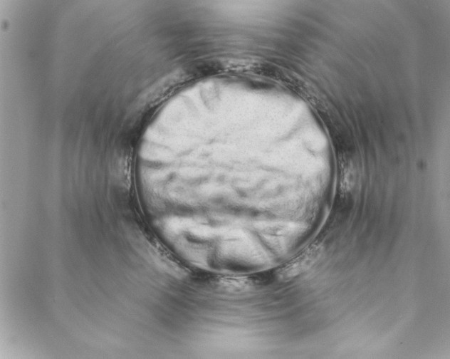 X0000088720666200706141614