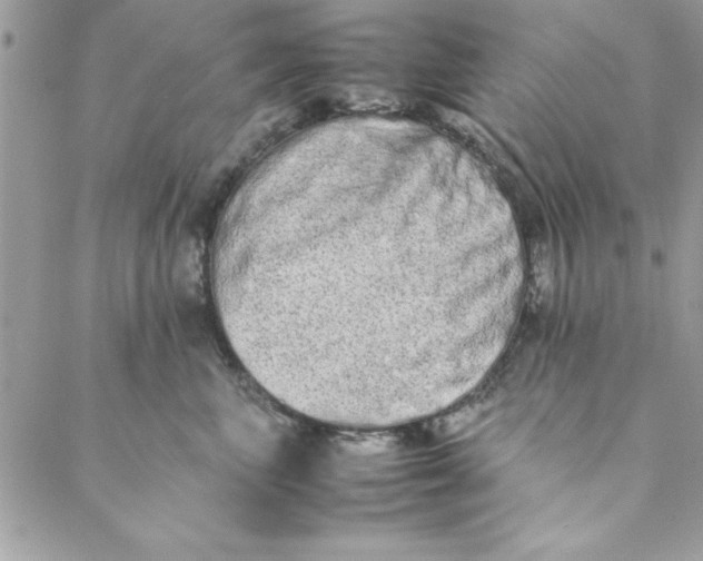 X0000088720667200706141614