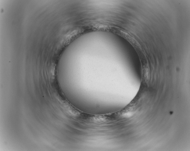 X0000088720668200706141614