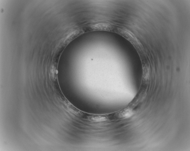 X0000088720669200706141614