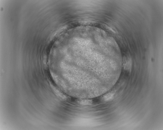 X0000088720670200706141614