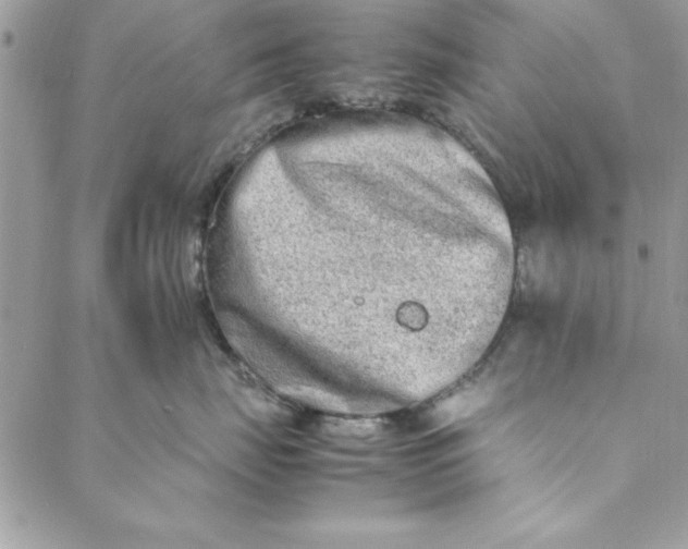 X0000088720671200706141614