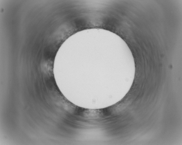 X0000088720672200706141614