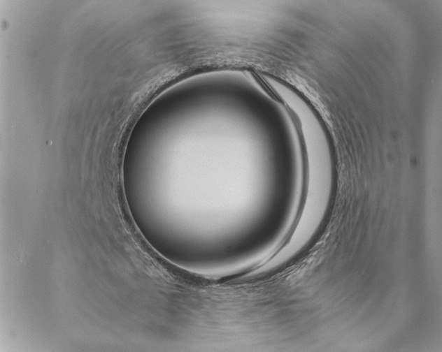 X0000088720673200706141614