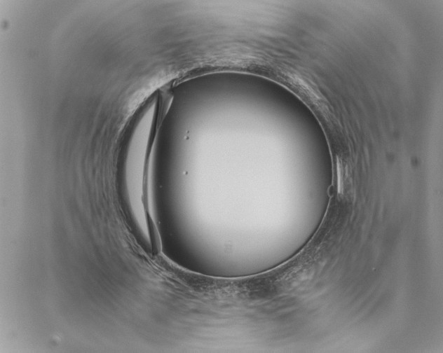 X0000088720675200706141614