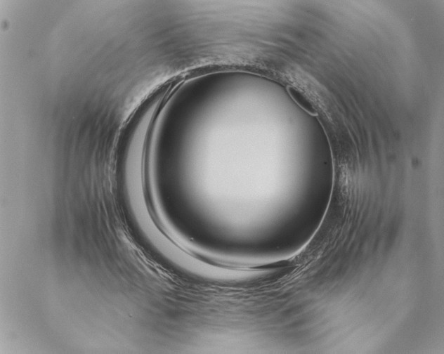 X0000088720676200706141614